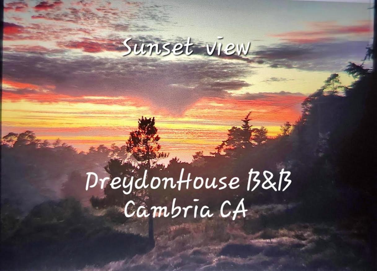 Dreydon House Bed And Breakfast Cambria Eksteriør billede