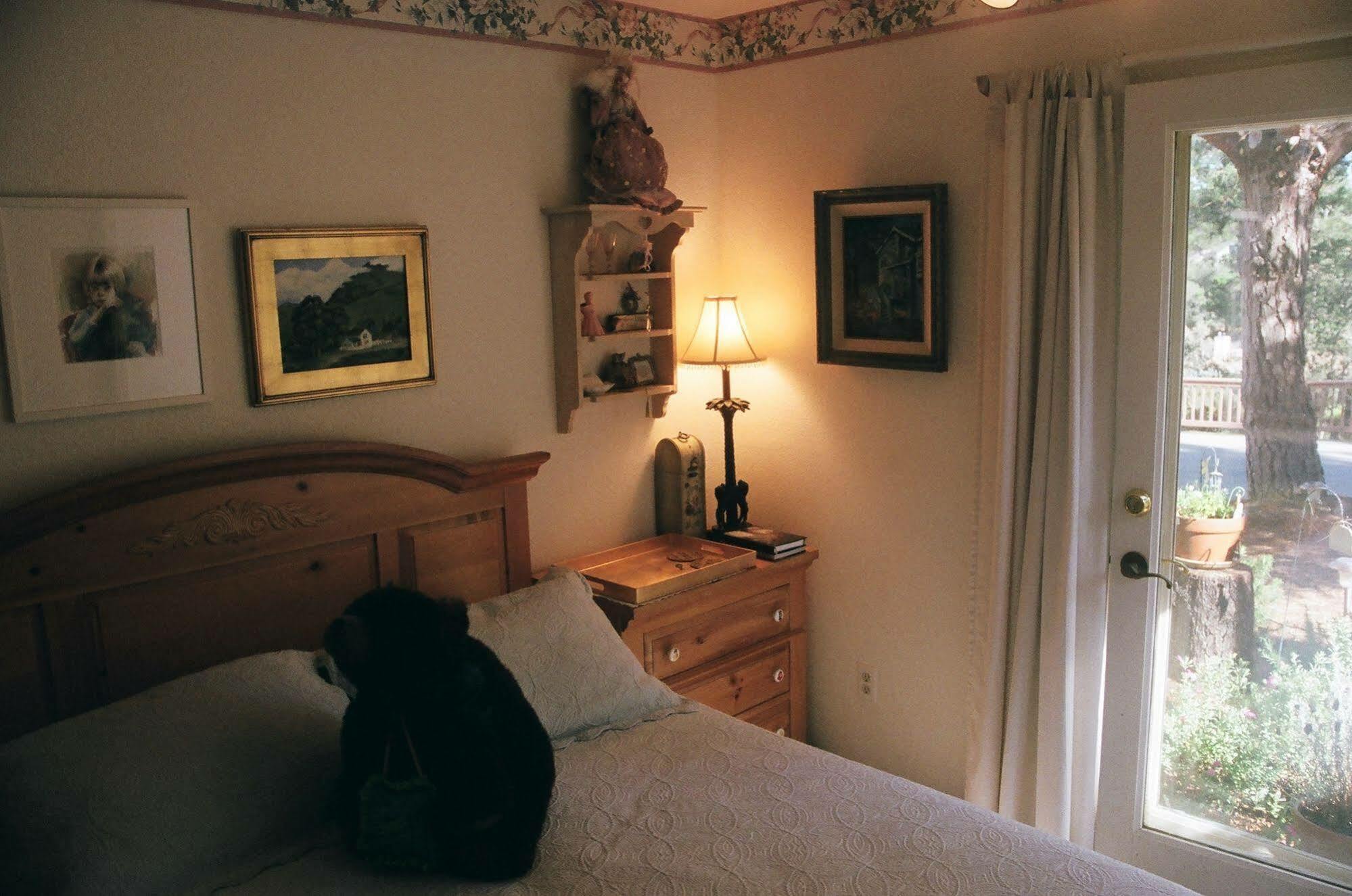 Dreydon House Bed And Breakfast Cambria Eksteriør billede